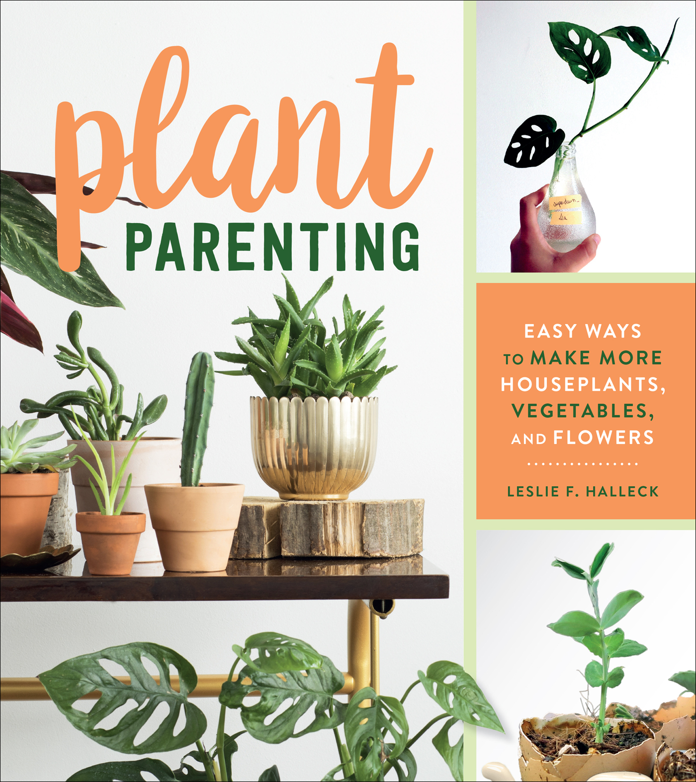 Plant Parenting Easy Ways to Make More Houseplants Vegetables - photo 1