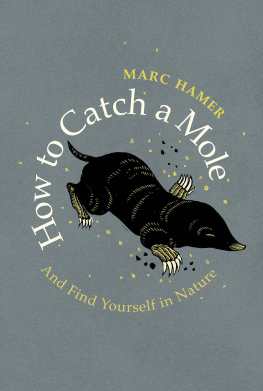 Hamer Marc - How to catch a mole and find yourself in nature