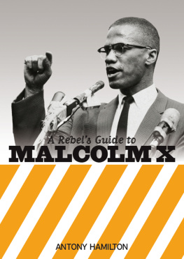 Hamilton Antony A Rebels Guide to Malcolm X