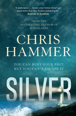 Hammer - Silver