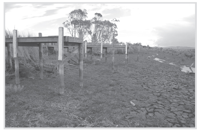 The Finniss River Recreational Boating Destination I drive north on the - photo 3