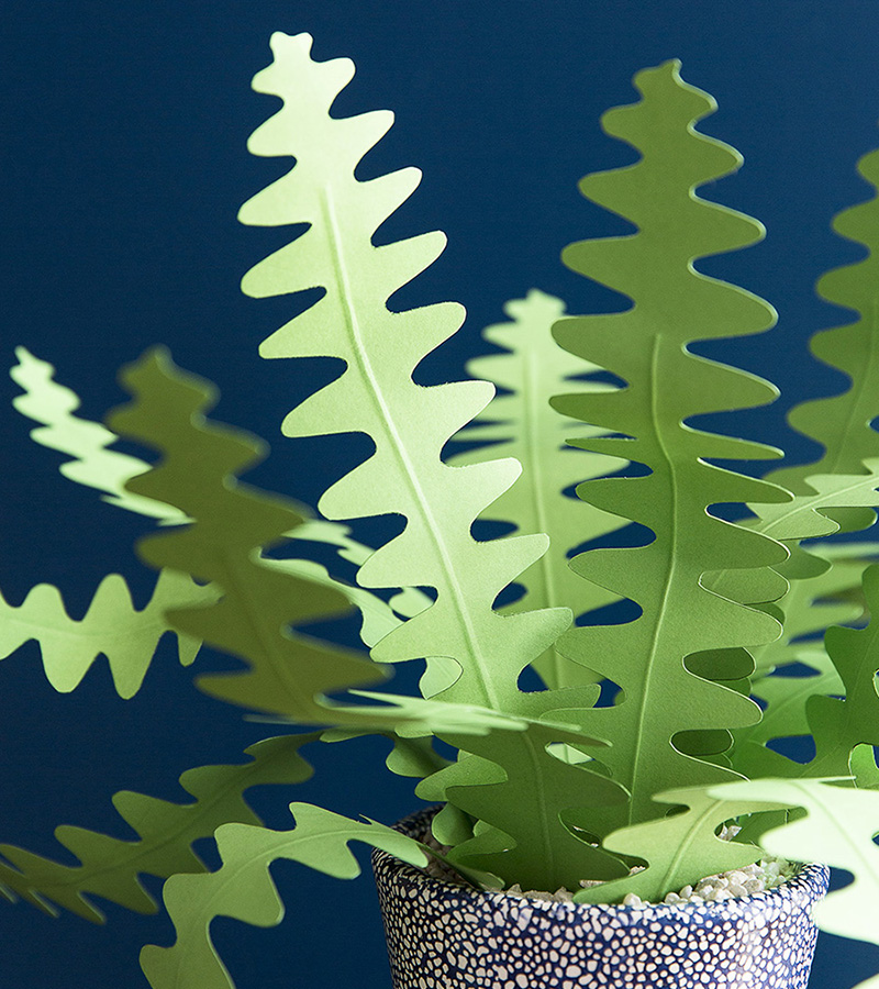 handmade HOUSEPLANTS REMARKABLY REALISTIC PLANTS YOU CAN MAKE WITH PAPER - photo 2