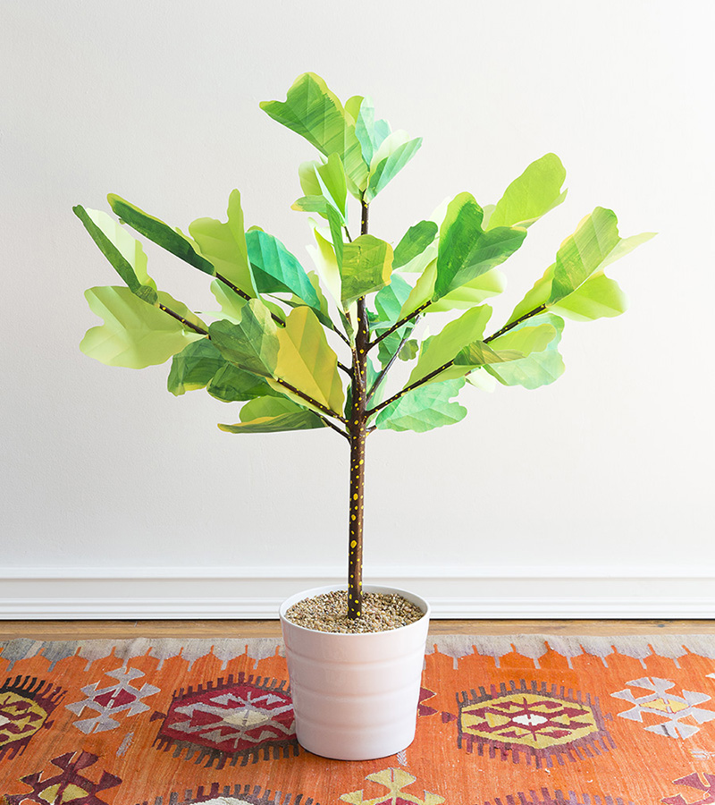 A fiddle-leaf figthe plant that started my paper plantmaking career From my - photo 7