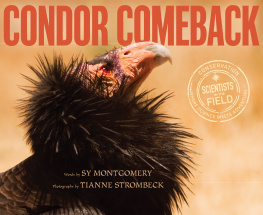 Sy Montgomery - Condor Comeback