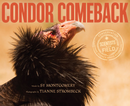 Sy Montgomery Condor Comeback