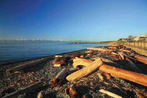 Across the Georgia Strait on Vancouver Island the smaller more refined - photo 12