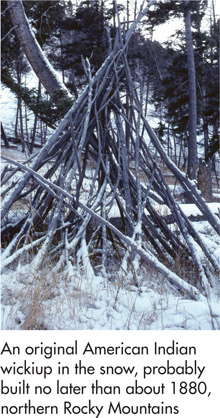 The size of the wickiup is determined of course by the length of the poles - photo 8