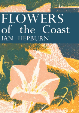 Hepburn - Flowers of the Coast