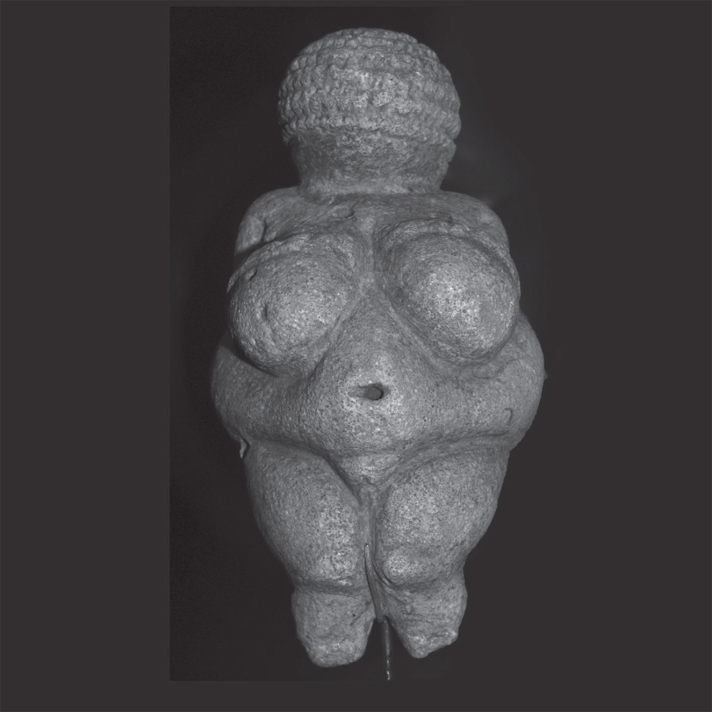 Venus of Willendorf c 26500 BCE T he first painters made images on - photo 4