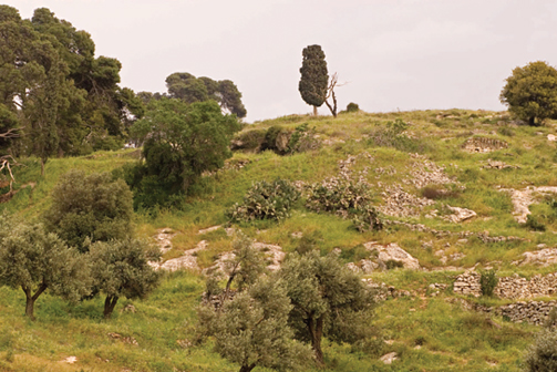 This is a hillside in northern Galilee Some parts of this mountainous region - photo 4