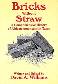 title Bricks Without Straw A Comprehensive History of African Americans - photo 1