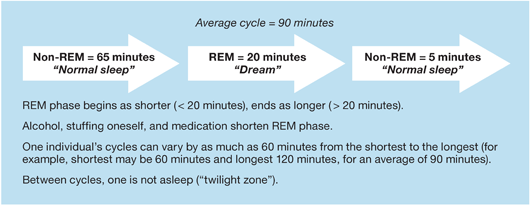 Figure 161 The Sleep Cycle If we were to sleep completely naturally with no - photo 1