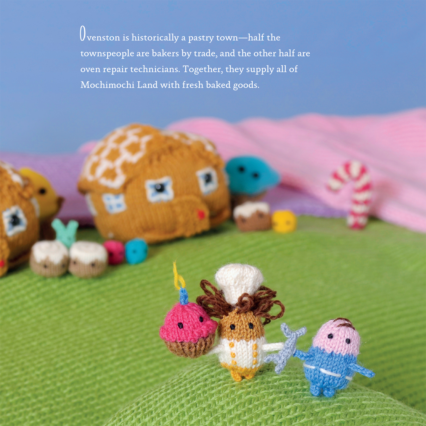 Adventures in Mochimochi Land tall tales from a tiny knitted world - photo 9