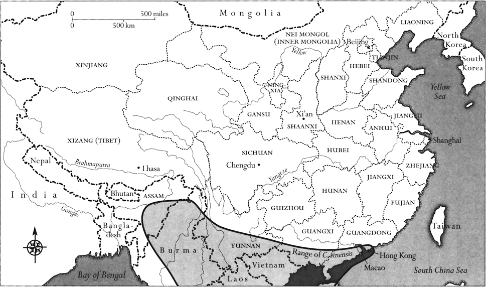 The heartland of tea lay in Southeast Asia northeastern India and southwest - photo 3