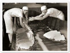 Harley Christensen on the right and another cheesemaker pile curd by hand in - photo 5