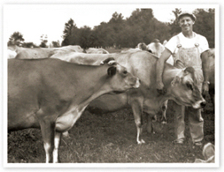 Ezra Galloway with his Jersey cows 1952 Because of my heritage I have a - photo 6