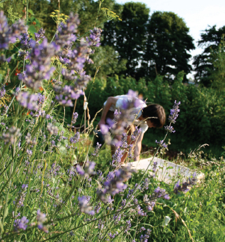 Turning homegrown produce into tasty beverages is a hugely rewarding - photo 6