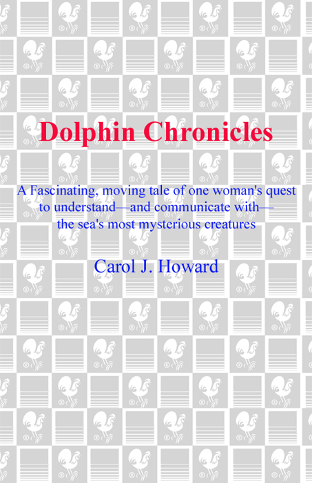 Dolphin Chronicles gives a true and lively report of research into the - photo 1