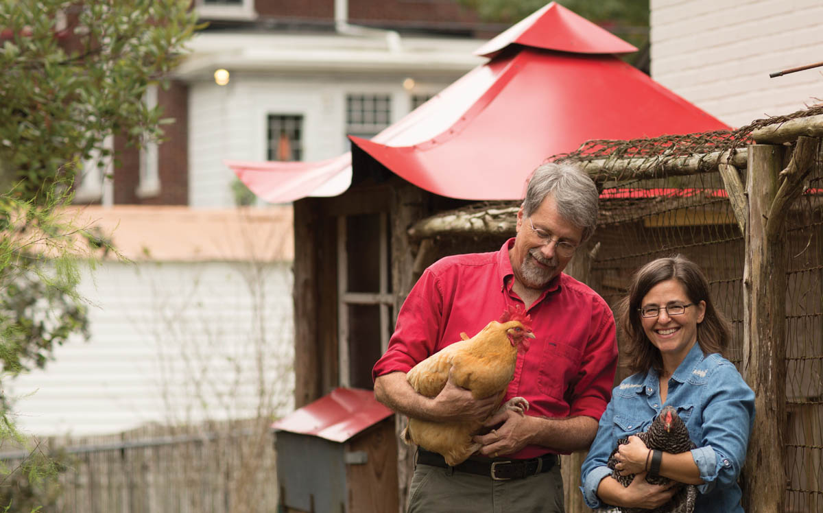 Chris asked if the coop could have a pagoda roof Unable to find pagoda designs - photo 7