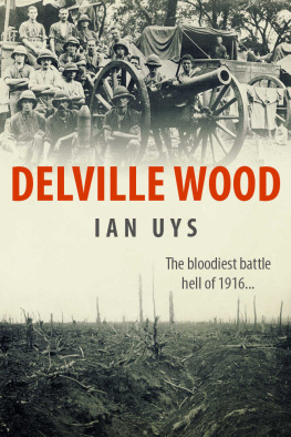 Ian Uys Hold at All Costs!: the Epic Battle of Delville Wood 1916