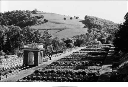 No place on the mountaintop more orderly symmetrical and balanced Jeffersons - photo 6