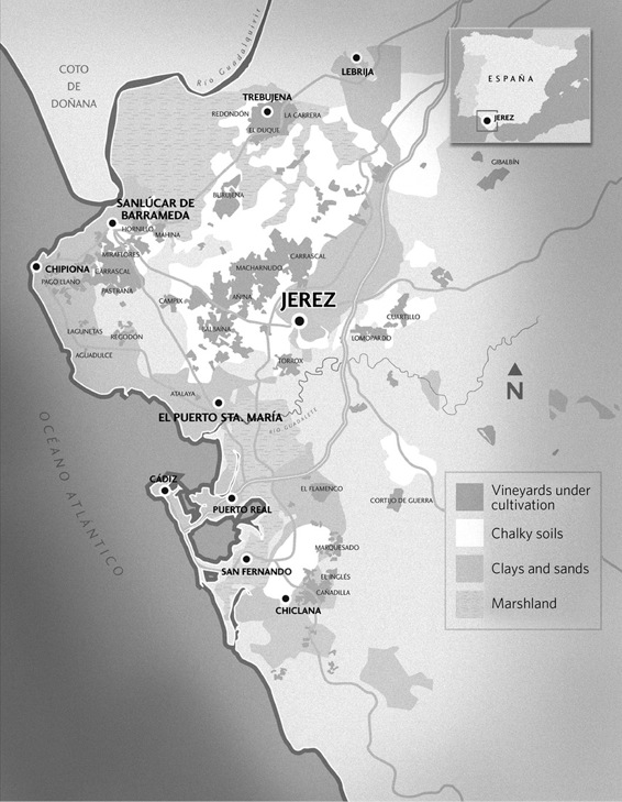 The Sherry Country Jerez de la Frontera is a town in Andalusia about fourteen - photo 1