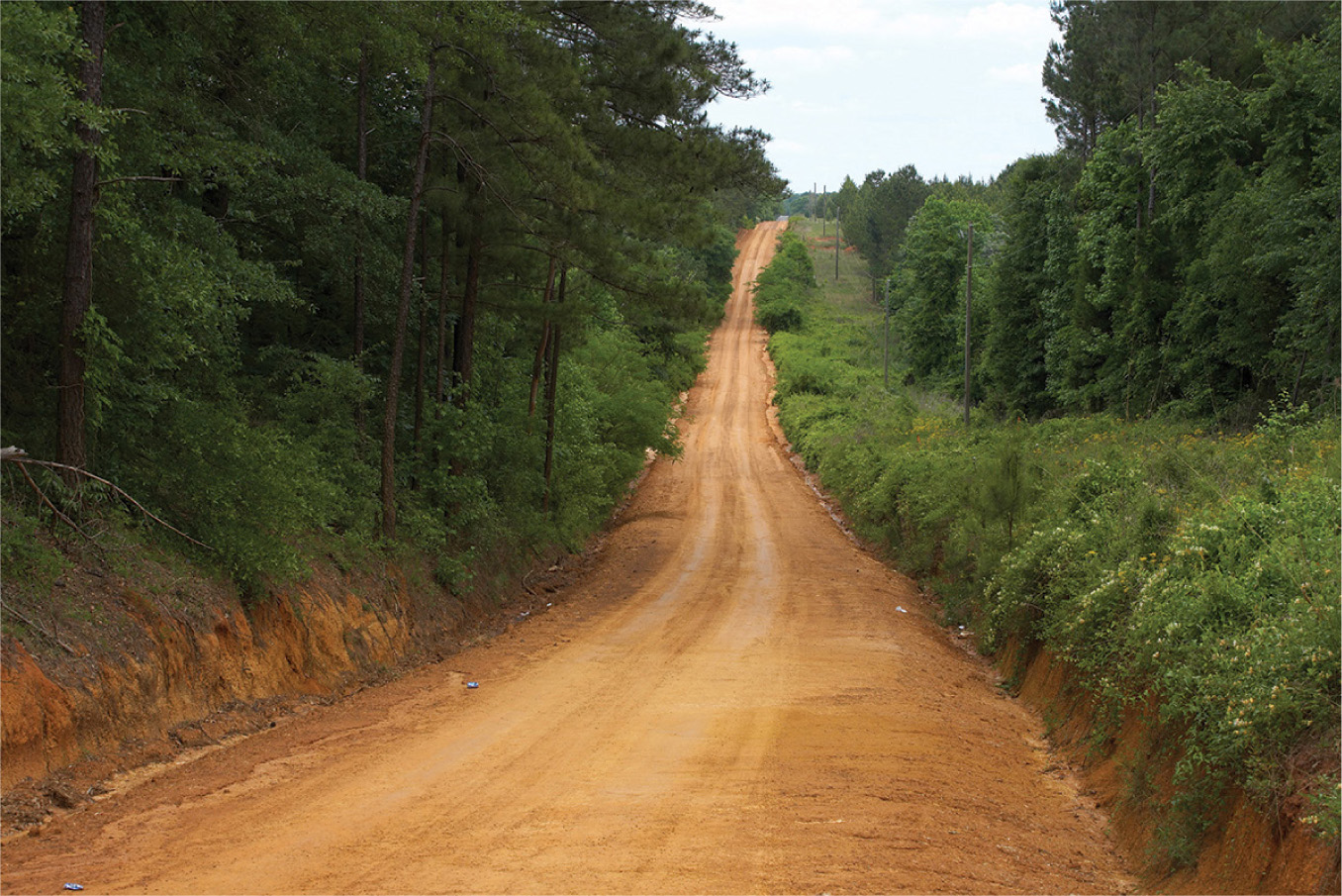 DIRT ROADS ARE STILL COMMON IN MANY COUNTIES IN GEORGIA I must first of all - photo 6