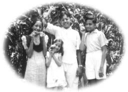 Climbing the mango trees a memoir of a childhood in India - image 1