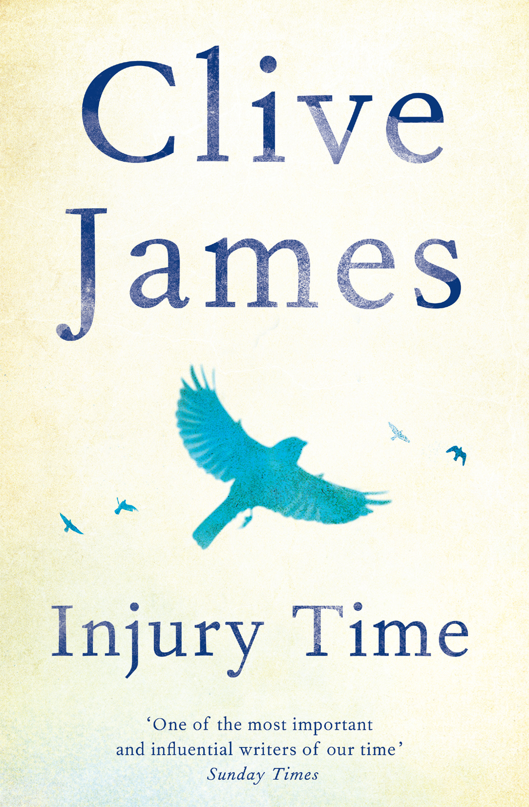 CLIVE JAMES Injury Time PICADOR To the nurses doctors and staff of - photo 1