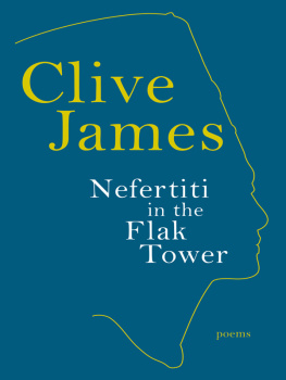 James - Nefertiti in the flak tower: collected verse 2008-2011