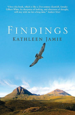 Jamie Findings