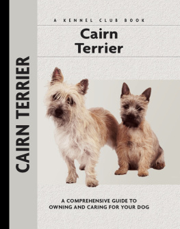 Jamieson - Cairn Terrier