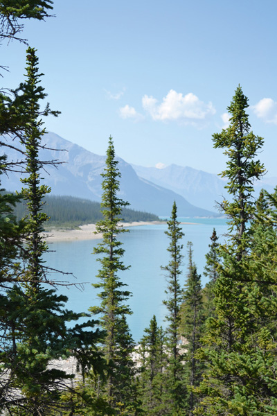 The view up Abraham Lake The David Thompson Highway Hiking Guide 2nd Edition - photo 2