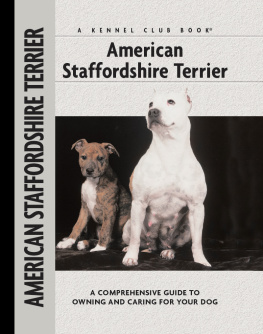 Janish American Staffordshire Terrier