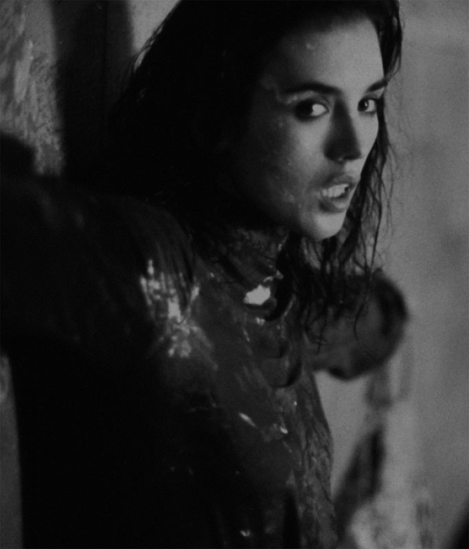 Isabelle Adjani in Andrzej Zulawskis Possession 1981 INTRODUCTION HAVE - photo 5