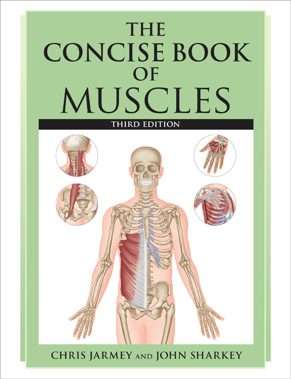 The Concise Book of Muscles - image 1