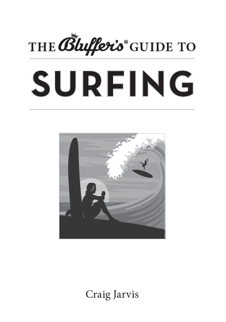 Bluffers guide to surfing - image 1