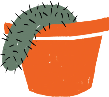 M y friend has a baby and owns a boutique I just bought a cactus it died in a - photo 2