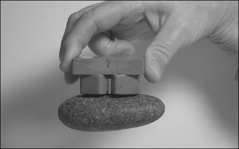 Magnetic rock Place a large handful of beach sand in one of the jars and secure - photo 5