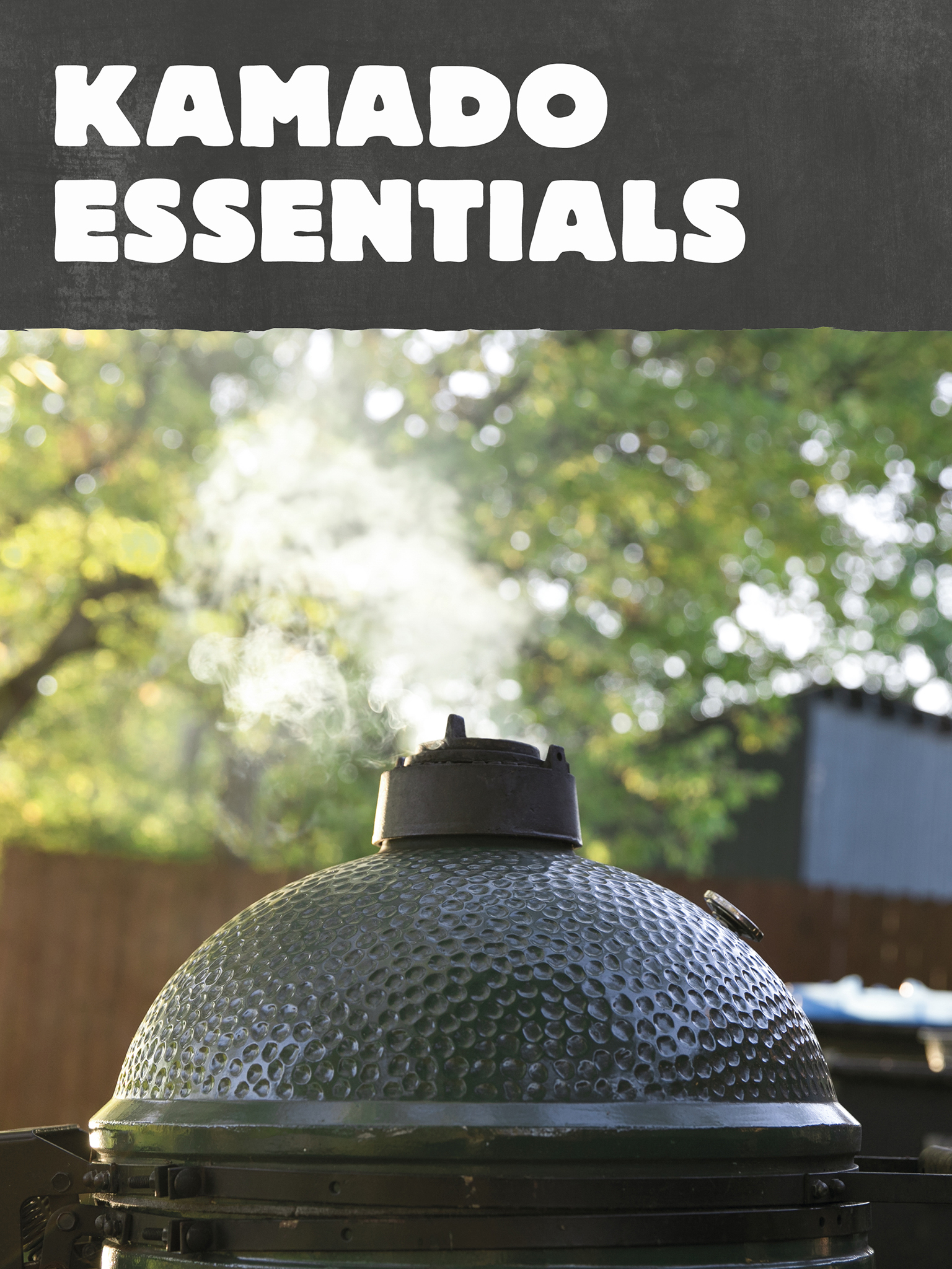 Your kamado grill is more than just something to use for a backyard barbecue - photo 9