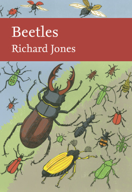 Jones Beetles / Richard Jones