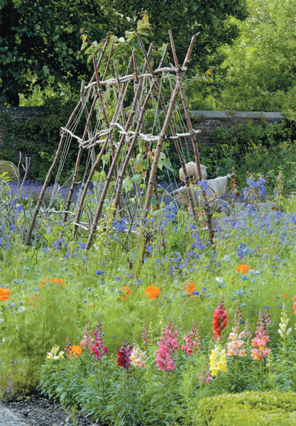 The kitchen garden at Wordsworth House Cumbria in July Onions dug from - photo 10