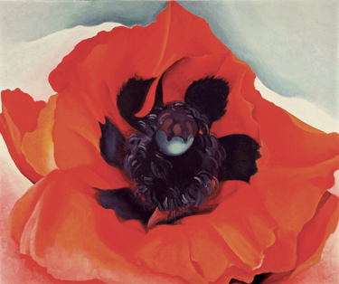 Georgia OKeeffe American 18871986 Poppy 1928 Oil on canvas Gift of - photo 3