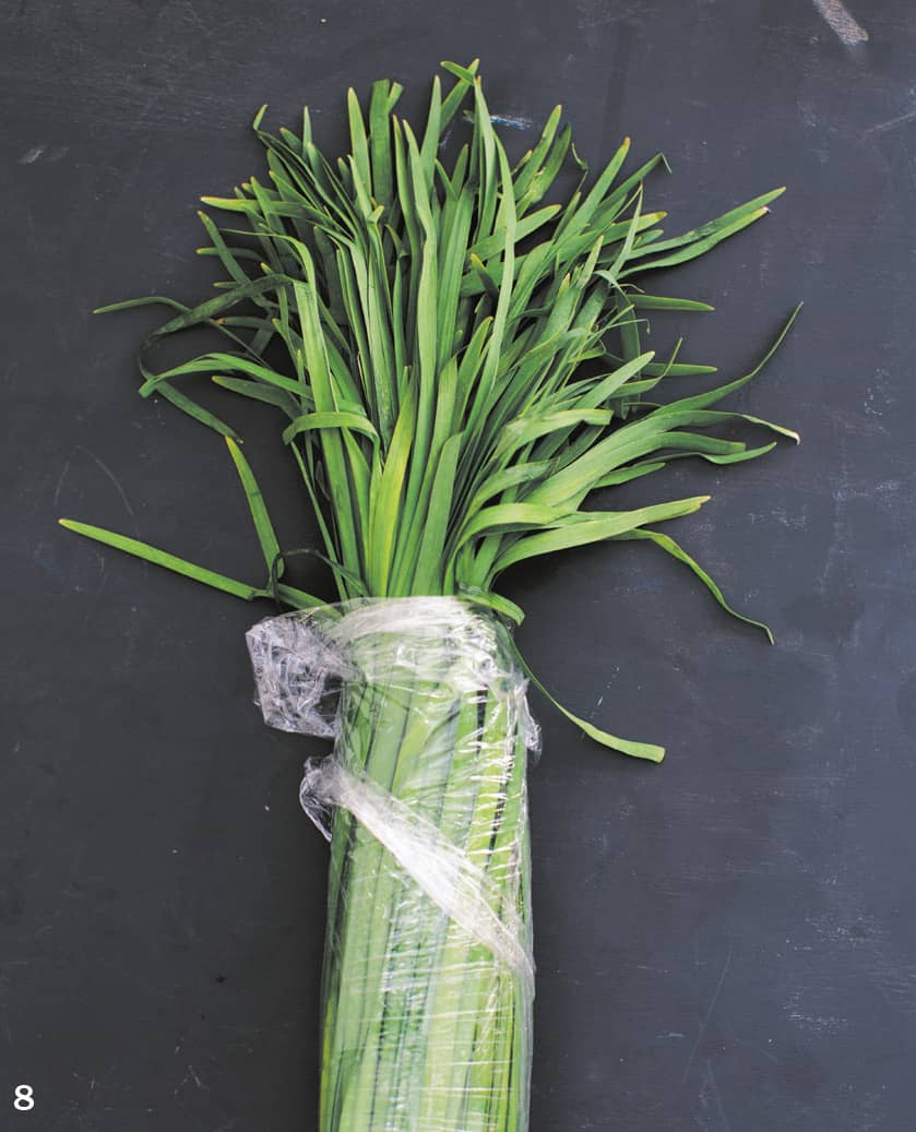 8 GARLIC CHIVES 9 LEEKS 10 SHALLOTS - photo 16