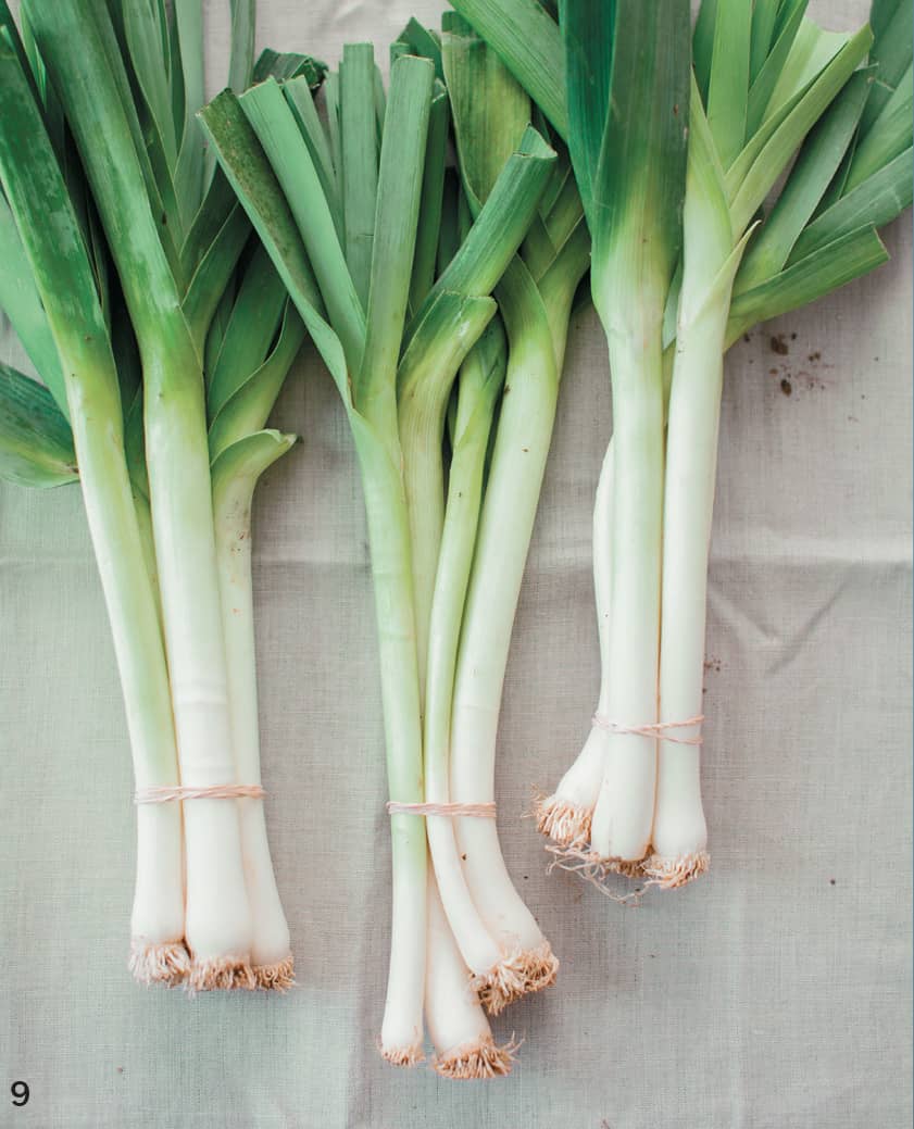 9 LEEKS 10 SHALLOTS 11 CIPOLLINI - photo 17