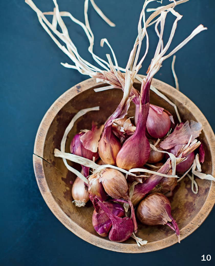 10 SHALLOTS 11 CIPOLLINI 12 PEARL ONION - photo 18