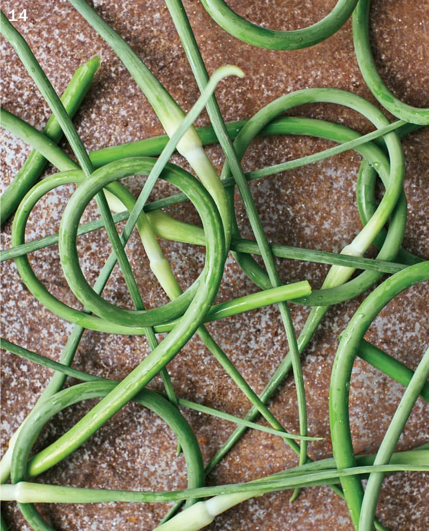 14 GARLIC SCAPES 15 GREEN GARLIC 16 SPRING ONION - photo 22