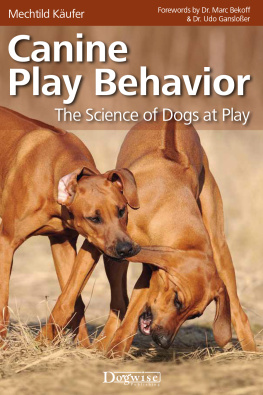 Käufer - Canine Play Behavior: The Science of Dogs at Play