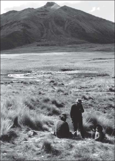 The Andean cordillera landscape In the Altiplano rainfall is sparse and the - photo 2