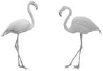 Flamingo - image 3